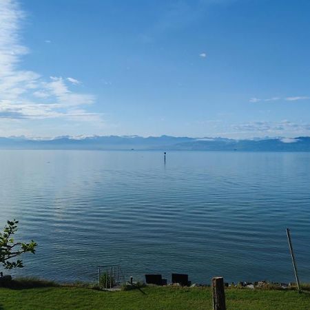 Birkhofer See Geniessen - Haus Seehang Immenstaad am Bodensee Bagian luar foto